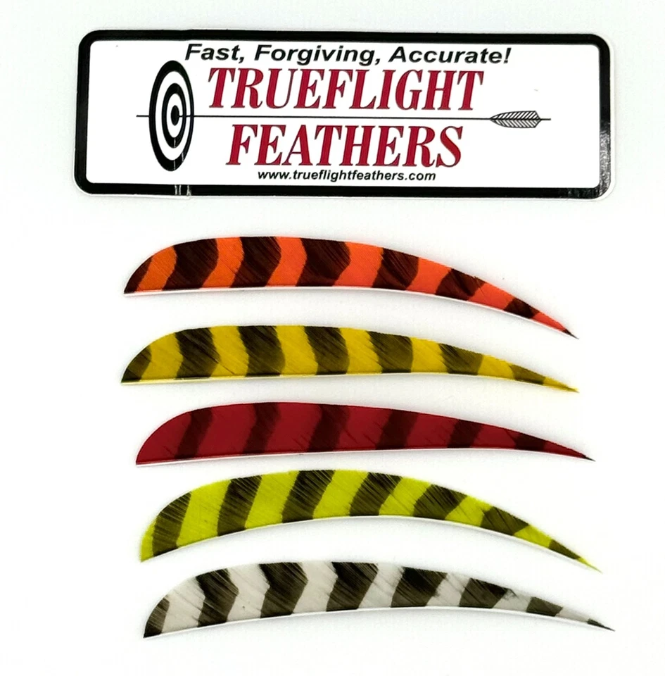Trueflight Parabolic Cut Feathers - 5 inch - Barred Colors - Image 1 of 1