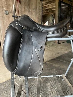 sillín de doma amerigo Foto 1 de 4