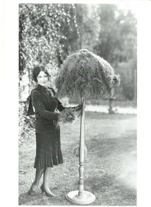 Unused Reprint Post Card "MGM Actress Dorothy Sebastian, 1927" 4" x 6"