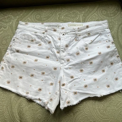 Pantalones Cortos Anthropologie Pilcro Slim Boyfriend Bordados Talla 32 Foto 1 de 4