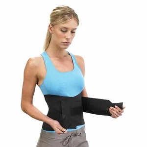 Breg Basic Lumbar Support - Picture 1 of 4