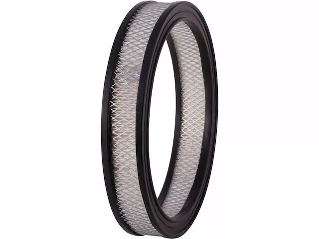 Air Filter For 1972-1974 Ford Gran Torino 4.1L 6 Cyl 1973 T873DC Air Filter - Image 1 of 1