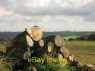 Photo 6x4 Log pile on Kiblesworth Common High Forge Penshaw Monument can  c2002