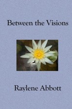 BETWEEN THE VISIONS: SEEING THROUGH THE EYES OF AN By Raylene Abbott **Mint**