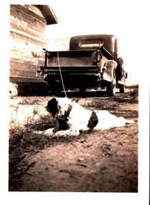 VTG Photo Antique Truck Washington Plate Terrier Dog Leash To Bed - Picture 1 of 1