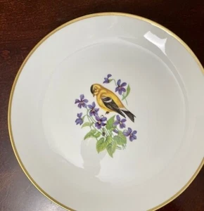 VTG 11 3/4" Bavaria Schumann Arzberg Germany American Goldfinch Larkspur Flowers - Picture 1 of 4