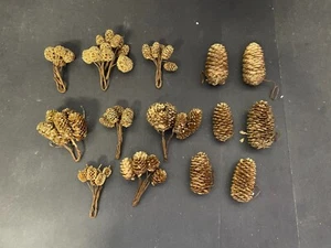 Decorative Pinecones - Picture 1 of 1