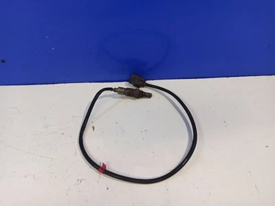 Sensore sonda lambda diesel Ford Transit - Tourneo Connect 2018 F1F19Y48 - Immagine 1 di 3