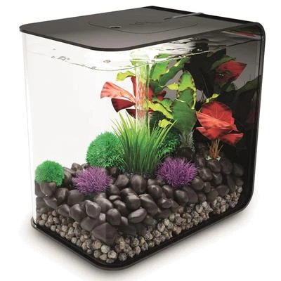 biOrb Nano-Aquarium Komplett-Set FLOW 30 LED schwarz - Bild 1 von 3