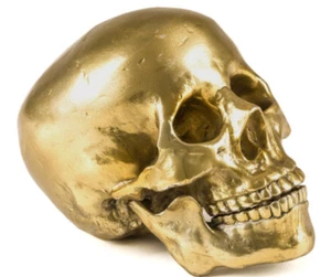 DIESEL X SELETTI  - 10891 Wunderkammer Human Skull in Gold TONE MSRP $350 - Picture 1 of 3