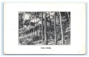 The Pines Otsego Lake Cooperstown NY 1912 Postcard C4 - Picture 1 of 2