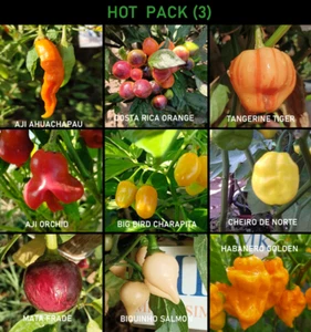 HOT PACK , 9 chiles picantes,90 semillas, pack(3) - Picture 1 of 1