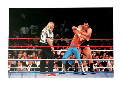 Tarjeta fotográfica de lucha libre WWE ANDRE THE GIANT & JAKE ROBERTS WRESTLEMANIA EN VIVO 4X6 #8 Foto 1 de 2