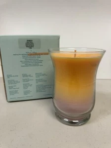 Rare Retired PartyLite BestBurn 16.9 Oz Slim Hurricane Jar Candle Fruit Fiesta - Picture 1 of 3