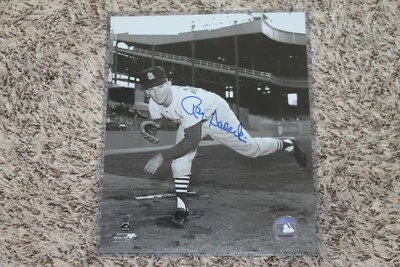 RAY SADECKI AUTOGRAPHED CARDINALS 8X10 PHOTO POSE 4 - Image 1 of 2