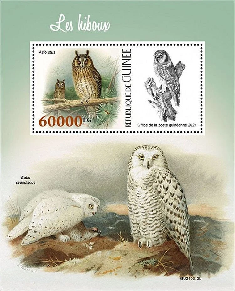 BÚHOS - AVES RAPACES Aves/Aves MNH 1v-Hoja de sello #979 (Guinea 2021) Foto 1 de 1