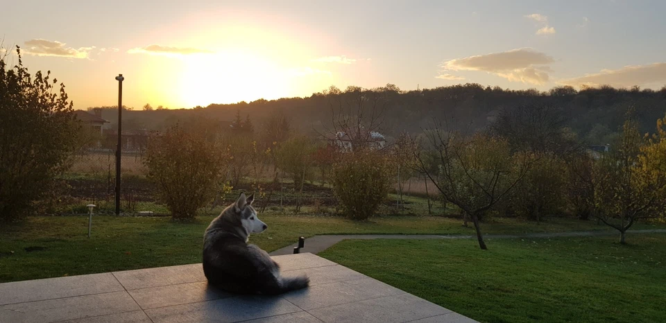 Imagem foto papel de parede fundo bela arte digital # 382 - Imagem 1 de 1