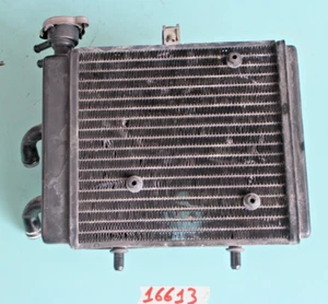 RADIATORE APRILIA SCARABEO LIGHT 200 125 - Imagen 1 de 3