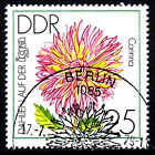 Deutschland DDR gestempelt Ausstellung Messe Iga Blume Dahlie Corina 1979 / 1008