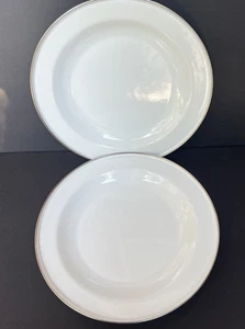 Discontinued Pottery Barn Enamelware Plates White 10” Set of 2 Metal Partyware - Picture 1 of 7
