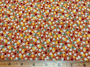 Cotton Fabric 30s Repro BREAD n BUTTER Floral AMERICAN JANE Sandy Klop MODA FQ - Picture 1 of 3