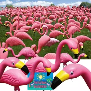 Bloem Decorative Garden Stake 25"Hx20"Wx12"D In/Outdoor Plastic Pink (50Pack) - Picture 1 of 6