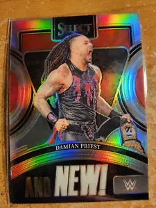 2024 Panini Seleziona WWE DAMIAN SACERDOT #11 E NUOVO! Prizm ARGENTO - Foto 1 di 1