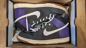 Size 10.5 - Nike Dunk High Pure Purple - Picture 1 of 5