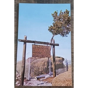 Postcard Wyoming Tree in Solid Rock Highway 30 between Laramie and Cheyenne - Picture 1 of 2
