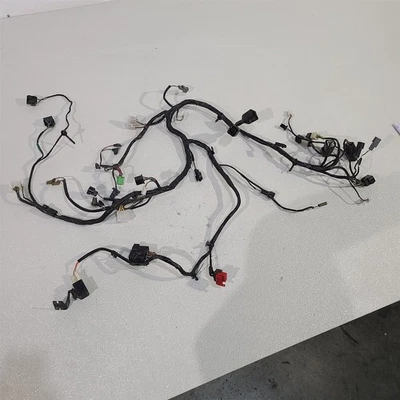 2009 Kawasaki EX250 250 tear de fiação principal PS1097 - Imagem 1 de 4