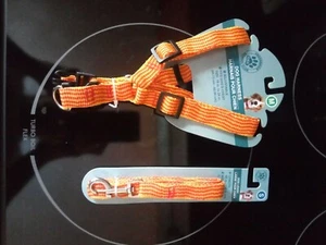 ORANGE Dog PUPPY Medium Harness & Small Leash (Adjustable) FAST SHIPPING - Picture 1 of 1