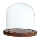 Decorative Glass Cloche Bell Jar Dome With Wooden Base Stand Display Decoration