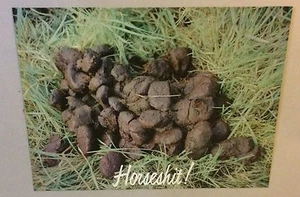 Horsesh#t Vintage Head Shop Poster Haufen Kacke Komödie Witz Pferd Mist 1970er  - Bild 1 von 10