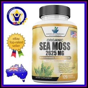 AMERICAN STANDARD ORGANIC SEA MOSS 2625mg Bladderwrack Burdock Root 120 Caps - Picture 1 of 8
