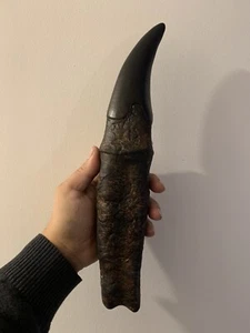 Replique dent de Tyrannosaurus rex T-rex Tyrannosaur 35 cm - Imagen 1 de 3