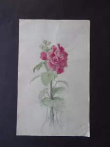FRENCH SCHOOL 19thC - STUDY FLOWER IN A VASE - FINE WATERCOLOR - Picture 1 of 12