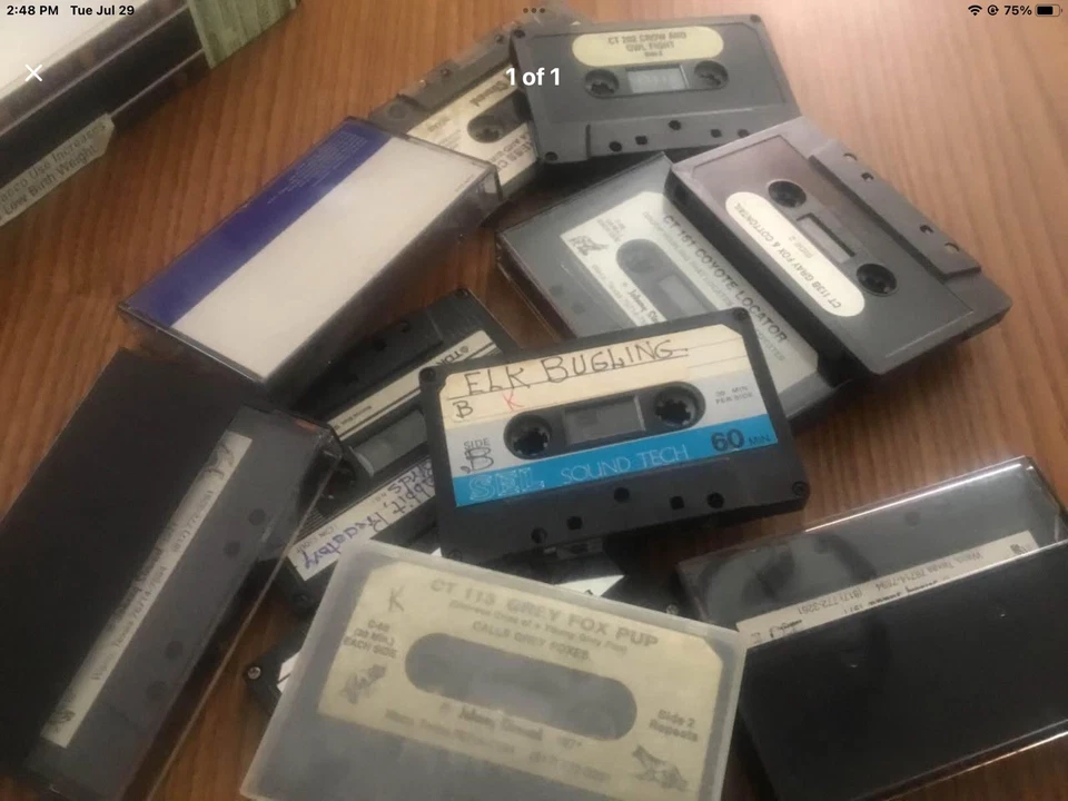 Cintas de llamadas de juegos de casete Foto 1 de 1