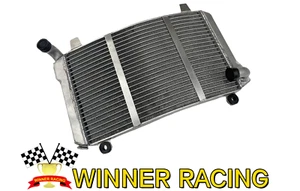 👍Alloy Radiator fit Suzuki RGV250 RGV 250 VJ21 1988-89-1990 - Picture 1 of 6