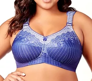 Elila 52G Bra Plus Blue Pinstriped Full Coverage Wireless Soft Cup - Picture 1 of 4