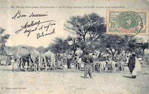 MAURITANIA - Parada de una sección de camellos cerca de un campamento - Publicar P.Tacher 361 - Imagen 1 de 2