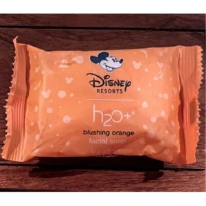 Walt Disney World Resorts H20 Errötende Orange Gesichtsseife 1,5 Oz. Marke nicht mehr produziert - Bild 1 von 4