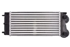 Intercooler Aluminio DAC013TT THERMOTEC para CITROËN PEUGEOT DS - Imagen 1 de 8