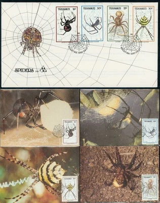 TRANSKEI #191-194 ~ "SPIDERS" FIRST DAY COVER and MAXI's - Image 1 of 4