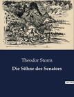 Die Shne des Senators by Theodor Storm Paperback Book
