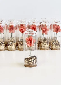 10 Stück Hochzeit Gastgeschenke für Gäste, Partygeschenke, Die Schöne und das Biest, Glaskuppel - Bild 1 von 6