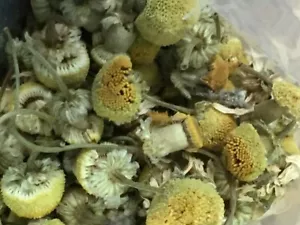 Chamomile 150g Pioneer Tea - Picture 1 of 1