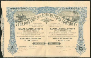 Egypt: Nile Land and Agricultural Company, 5 shares, Alexandria 1904 - Picture 1 of 1