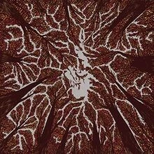 Crown Shyness von Trash Boat | CD | Zustand sehr gut - Bild 1 von 2