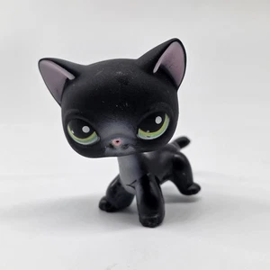 Authentic Littlest Pet Shop #336 Black White Shorthair Siamese Green Eye LPS Cat - Picture 1 of 12