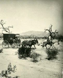 Argentina Diligence Stage-Coach in Pampa Old NPG Stereo Stereoview Photo 1900 - Imagen 1 de 3